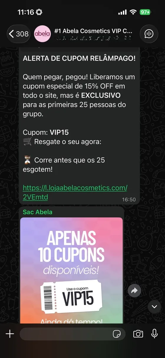 Alerta de cupom relâmpago no grupo: 15% de desconto em todo o site, exclusivo para os primeiros 25 membros.